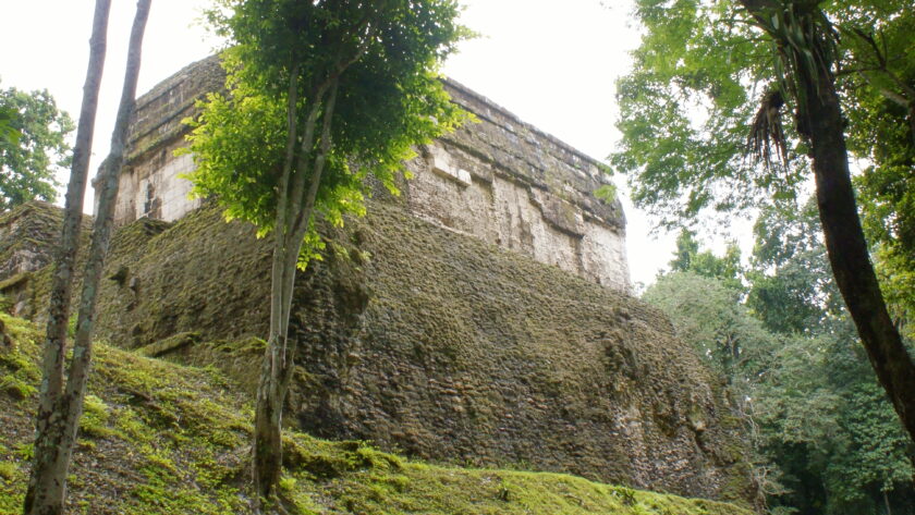 Edificio N de Nakum. Raúl Noriega Girón, 2007.