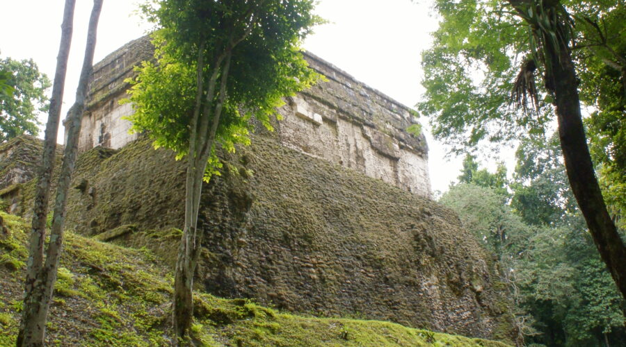 Edificio N de Nakum. Raúl Noriega Girón, 2007.