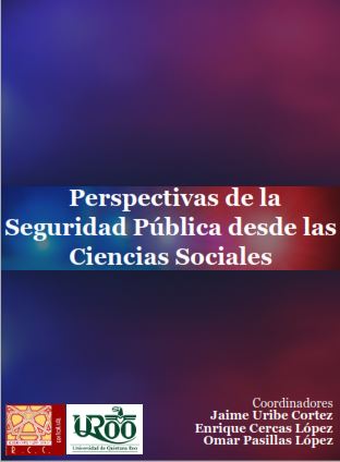Perspectiva de la Seguridad Pública desde las Ciencias Sociales