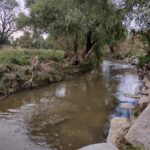 Figura 6. Cauce del Río San Pedro, conformado por aguas residuales. Fotografía de Alba M. Díaz Márquez, 2022.