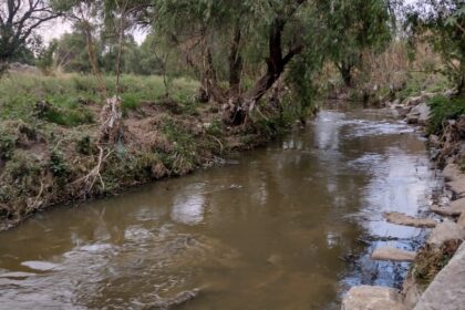 Figura 6. Cauce del Río San Pedro, conformado por aguas residuales. Fotografía de Alba M. Díaz Márquez, 2022.