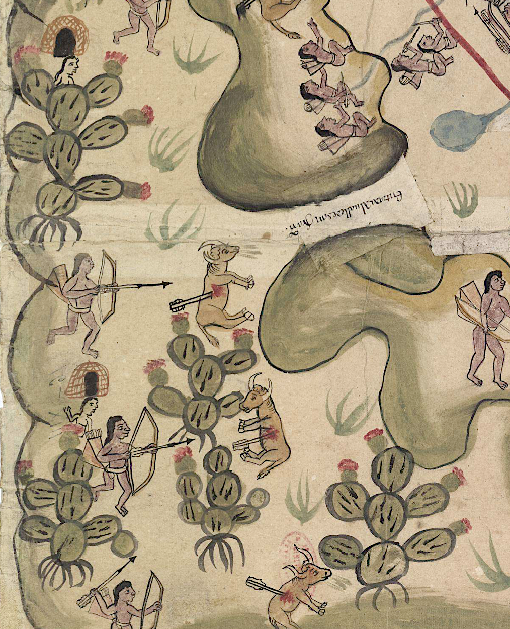 Figura 7. Figuras de nopaleras arborescentes en los límites actuales de Guanajuato, San Luis Potosí, Zacatecas y Aguascalientes. Los nopales representados corresponden a la especie dominante en la región, el nopal cardón, Opuntia streptacantha. Aparecen casas de materiales perecederos a las que se asocian figuras femeninas con la piel no teñida de rojo. Las figuras de los nopales presentan sus raíces, de acuerdo con la convención pictográfica mesoamericana, y son las de mayores dimensiones en el mapa.
