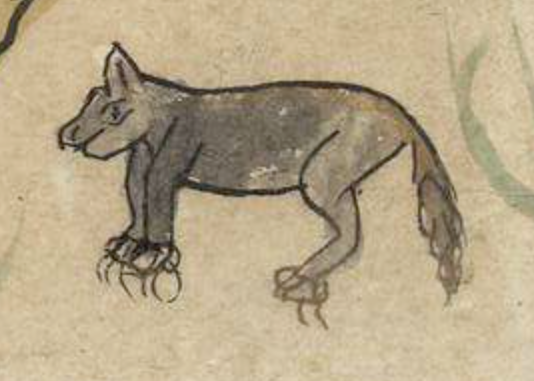 Figura 9. Posible representación de un lince rojo (gato montés de Norteamérica) o un puma. Aunque hay elementos que sugieren a estos félidos, en ambos casos la cola representada es claramente ajena a ellos (demasiado larga para un lince y demasiado plumosa para ser la de un puma), y más bien sugiere la de un cánido.